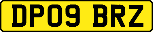 DP09BRZ