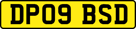 DP09BSD