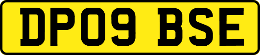 DP09BSE