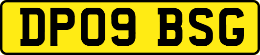 DP09BSG