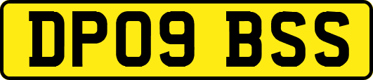 DP09BSS