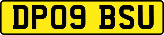 DP09BSU