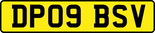 DP09BSV