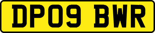 DP09BWR
