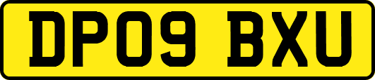 DP09BXU