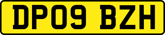 DP09BZH