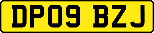 DP09BZJ