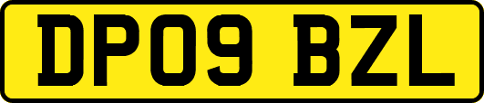 DP09BZL