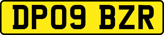 DP09BZR