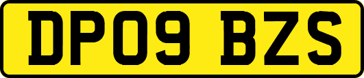 DP09BZS