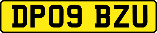DP09BZU