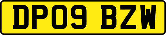 DP09BZW