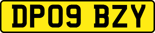 DP09BZY