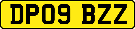 DP09BZZ