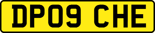 DP09CHE