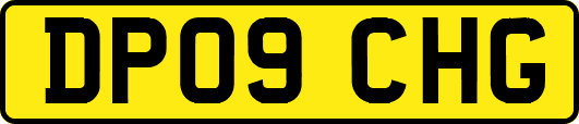DP09CHG