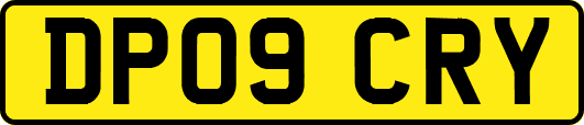 DP09CRY