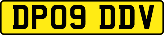 DP09DDV