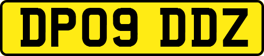 DP09DDZ