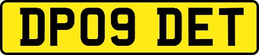 DP09DET