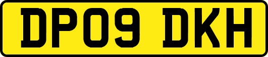 DP09DKH