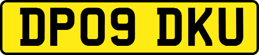 DP09DKU