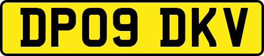 DP09DKV