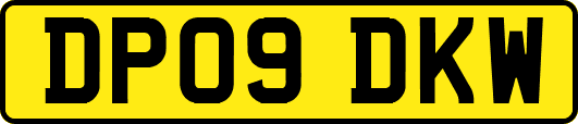 DP09DKW