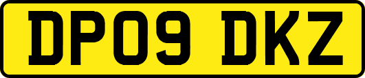 DP09DKZ