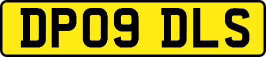 DP09DLS