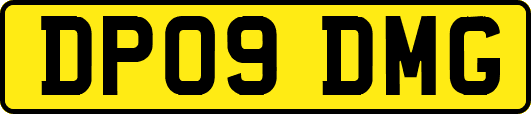 DP09DMG