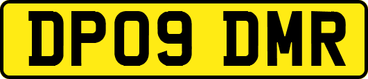 DP09DMR
