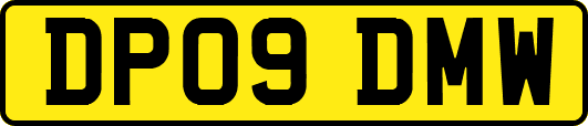 DP09DMW
