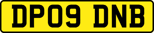 DP09DNB