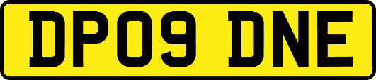 DP09DNE