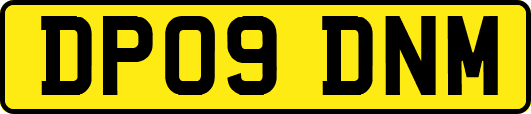DP09DNM