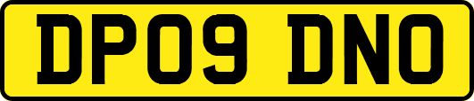 DP09DNO