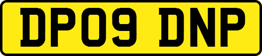 DP09DNP