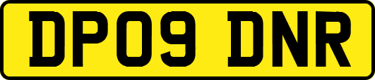 DP09DNR