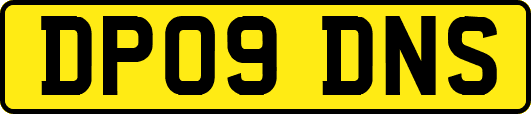 DP09DNS