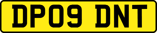 DP09DNT