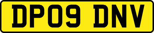 DP09DNV