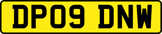 DP09DNW
