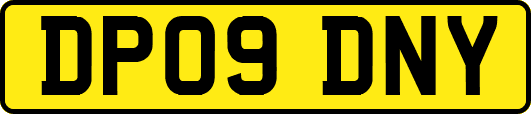 DP09DNY