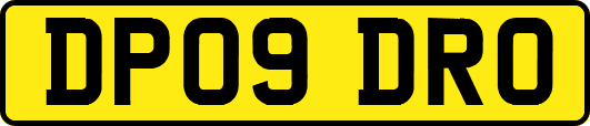 DP09DRO