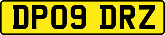 DP09DRZ