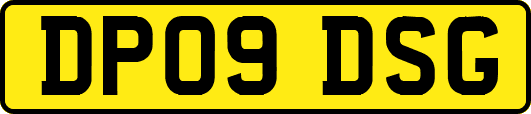 DP09DSG