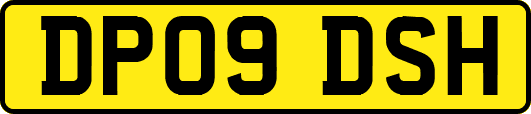 DP09DSH
