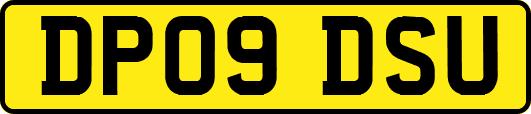 DP09DSU