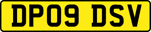 DP09DSV